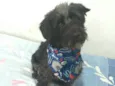 Francisco