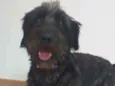 Francisco