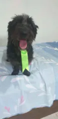 Francisco