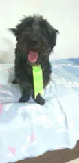 Francisco