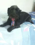 Francisco