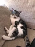 Plutão