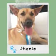 Jhonie