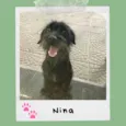 Nina