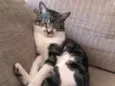 Plutão