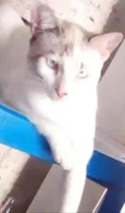 Luno ja esta castrad