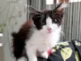 Jack