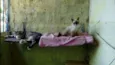 Megui, azul, flocão,