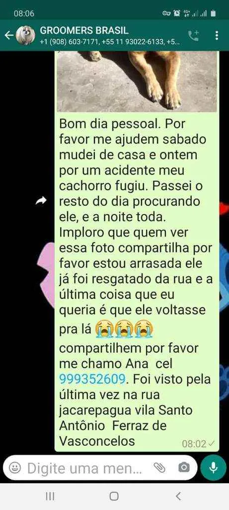 Cachorro ra a Vira lata idade 6 ou mais anos nome Choco