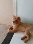 ZULU