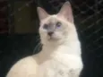 Lili