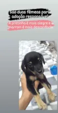 Não possui nome