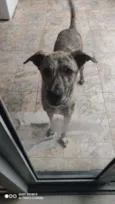 Ana clara