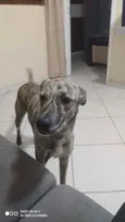 Ana clara