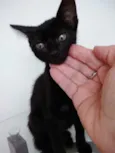 Luna  bebê linda