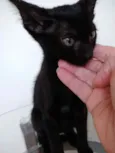 Luna  bebê linda