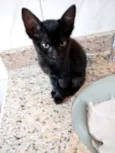 Luna  bebê linda