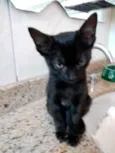 Luna  bebê linda