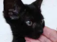 Luna  bebê linda