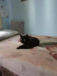 Frederick