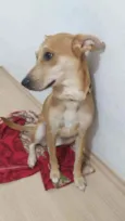 KIARA