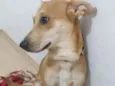 KIARA
