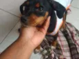 Kiara