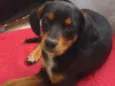 Kiara