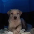 Lord
