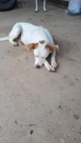 Não sei