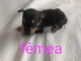 Nao sei