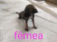 Nao sei