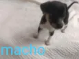 Nao sei