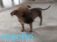 Nao sei
