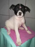 Nao sei