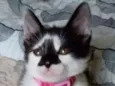 Milena