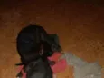 Ainda não têm nome