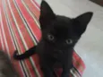 ALEMÃO