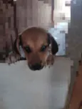 Não tem