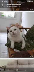 Brisa