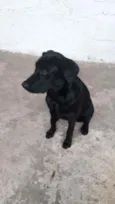 Zoe