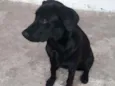 Zoe