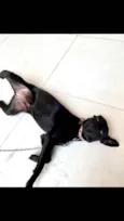 Dóris linda e fofa
