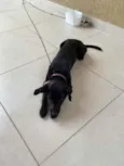Dóris linda e fofa