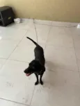 Dóris linda e fofa