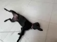 Dóris linda e fofa