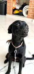 Dóris linda e fofa