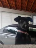 Dóris linda e fofa