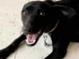 Dóris linda e fofa