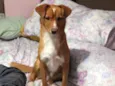 Bilu
